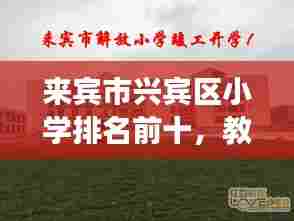 客户反馈 第240页