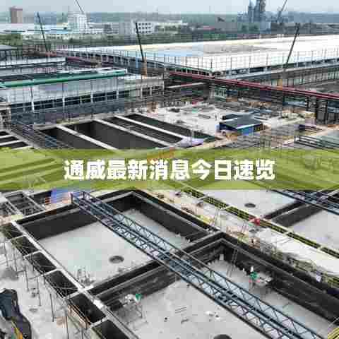 通威最新消息今日速览