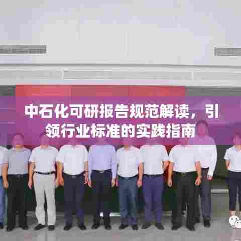 中石化可研报告规范解读,引领行业标准的实践指南