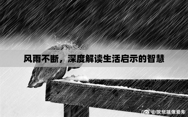 风雨不断，深度解读生活启示的智慧