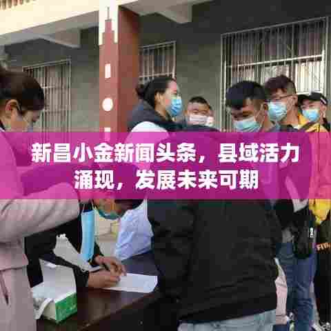 新昌小金新闻头条，县域活力涌现，发展未来可期