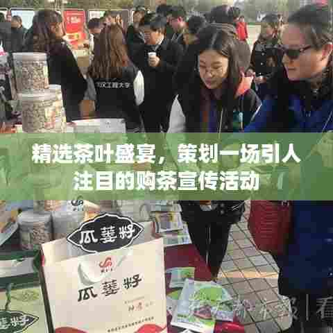 精选茶叶盛宴，策划一场引人注目的购茶宣传活动