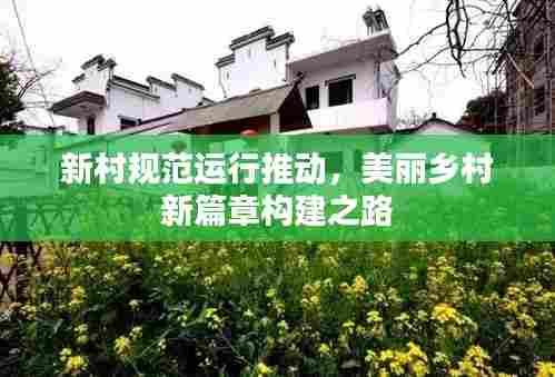 新村规范运行推动,美丽乡村新篇章构建之路