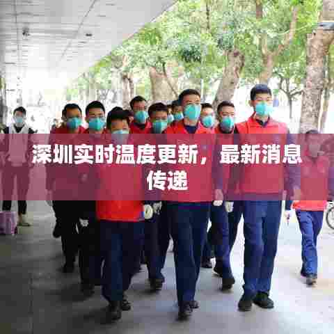 案例展示 第232页