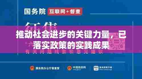 推动社会进步的关键力量,已落实政策的实践成果