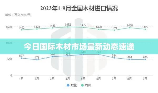 今日国际木材市场最新动态速递