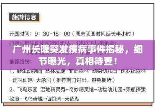广州长隆突发疾病事件揭秘,细节曝光,真相待查!