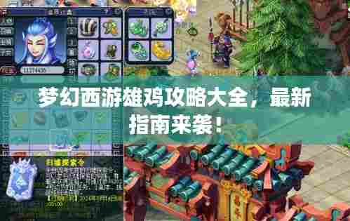 梦幻西游雄鸡攻略大全，最新指南来袭！