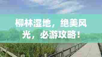 柳林湿地，绝美风光，必游攻略！