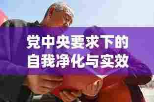 党中央要求下的自我净化与实效推动，深化自查，筑牢发展根基