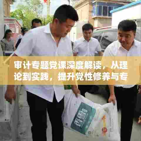 审计专题党课深度解读，从理论到实践，提升党性修养与专业能力