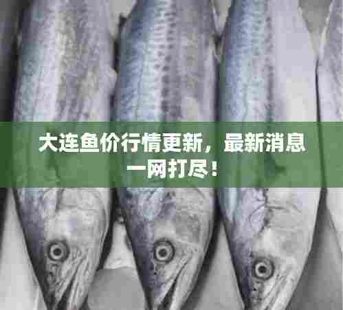大连鱼价行情更新，最新消息一网打尽！