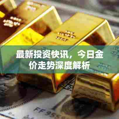 最新投资快讯，今日金价走势深度解析