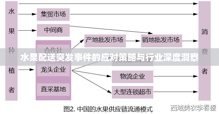 水果配送突发事件的应对策略与行业深度洞察