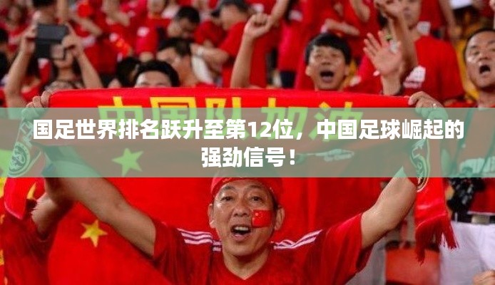 国足世界排名跃升至第12位，中国足球崛起的强劲信号！