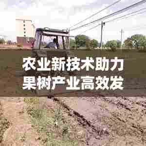 农业新技术助力果树产业高效发展，高效果树促控制助力产业腾飞
