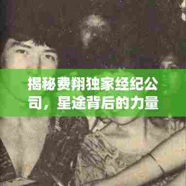 揭秘费翔独家经纪公司，星途背后的力量探索