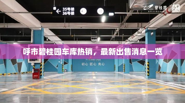 呼市碧桂园车库热销，最新出售消息一览