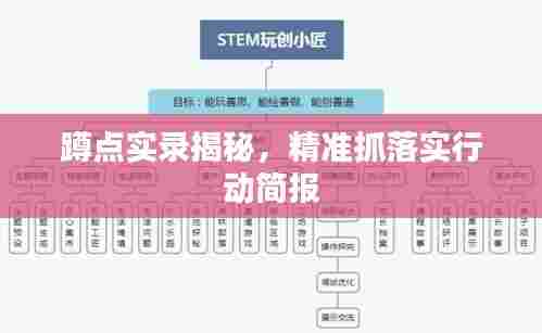 蹲点实录揭秘,精准抓落实行动简报