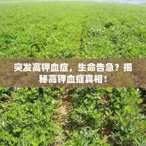 突发高钾血症，生命告急？揭秘高钾血症真相！