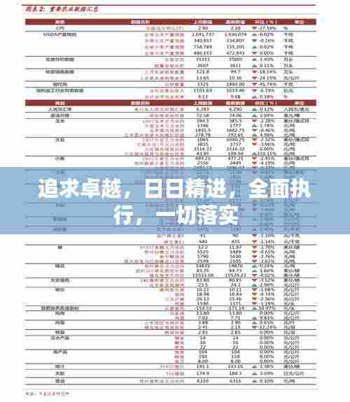 追求卓越，日日精进，全面执行，一切落实