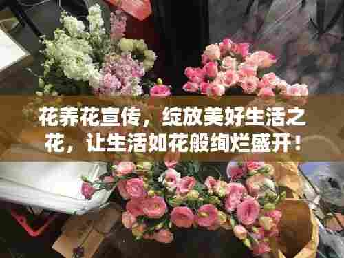花养花宣传，绽放美好生活之花，让生活如花般绚烂盛开！