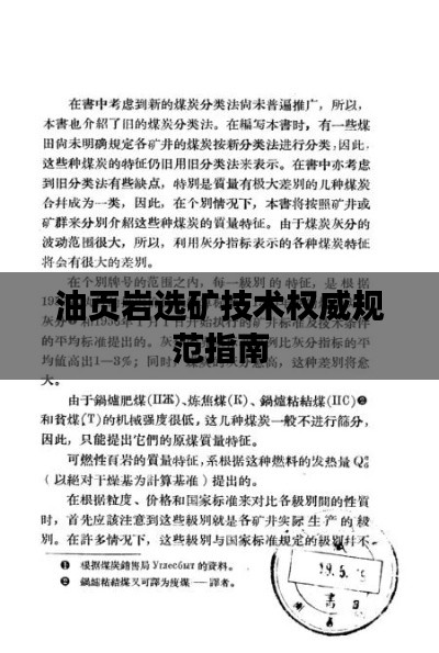 油页岩选矿技术权威规范指南