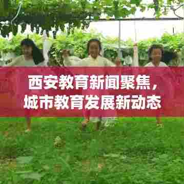 西安教育新闻聚焦，城市教育发展新动态