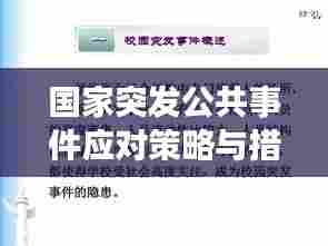 国家突发公共事件应对策略与措施