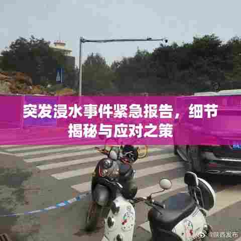 突发浸水事件紧急报告，细节揭秘与应对之策