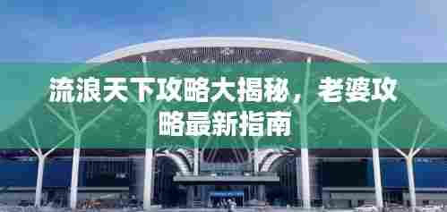 流浪天下攻略大揭秘，老婆攻略最新指南