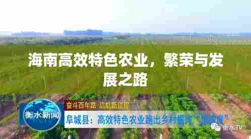 海南高效特色农业，繁荣与发展之路