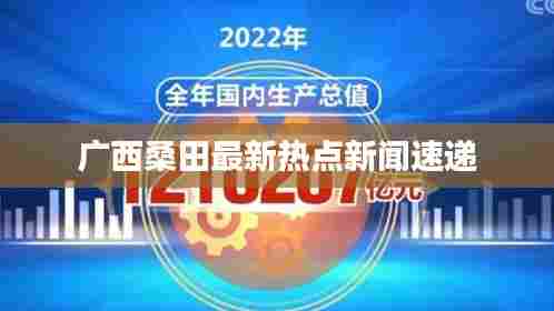 广西桑田最新热点新闻速递