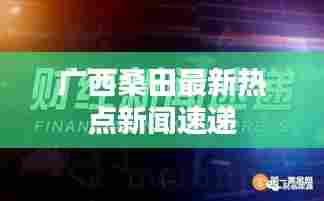 广西桑田最新热点新闻速递