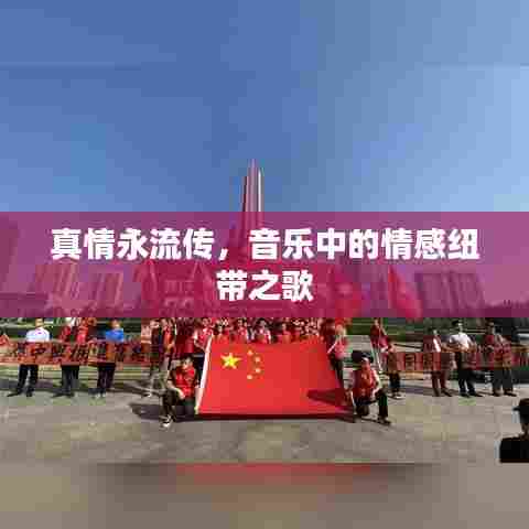 真情永流传，音乐中的情感纽带之歌
