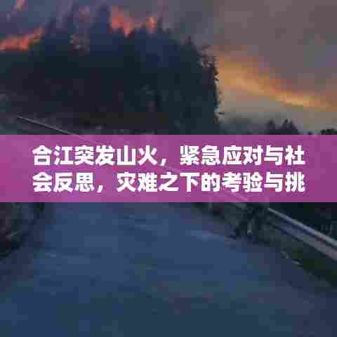 合江突发山火，紧急应对与社会反思，灾难之下的考验与挑战