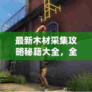 最新木材采集攻略秘籍大全,全方位指南助你轻松掌握!