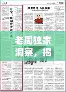 老周独家洞察，揭秘市场趋势，引领投资风向标