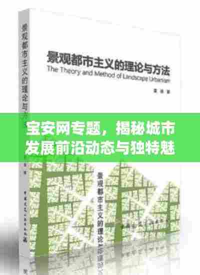 宝安网专题,揭秘城市发展前沿动态与独特魅力