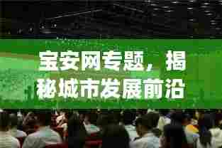 宝安网专题,揭秘城市发展前沿动态与独特魅力