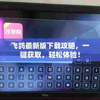 飞鸽最新版下载攻略，一键获取，轻松体验！