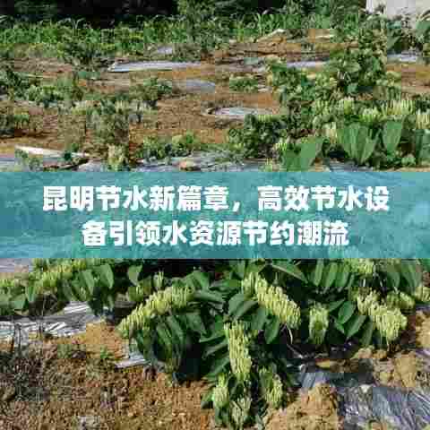 昆明节水新篇章，高效节水设备引领水资源节约潮流