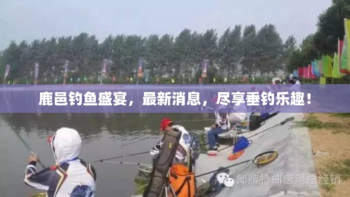 鹿邑钓鱼盛宴，最新消息，尽享垂钓乐趣！