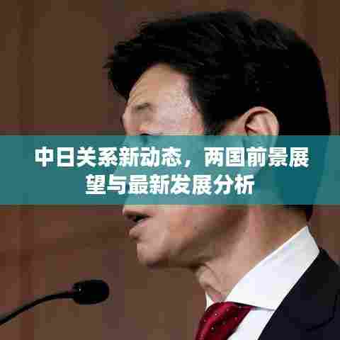 中日关系新动态，两国前景展望与最新发展分析