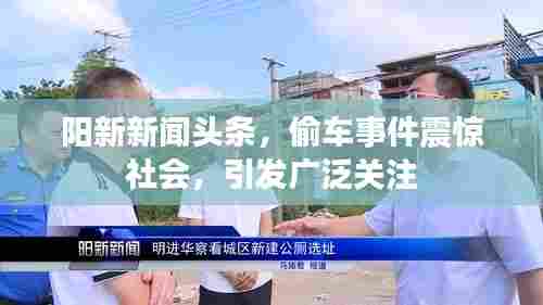 阳新新闻头条，偷车事件震惊社会，引发广泛关注