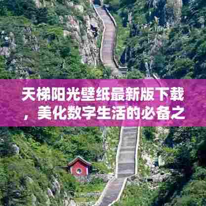 天梯阳光壁纸最新版下载，美化数字生活的必备之选