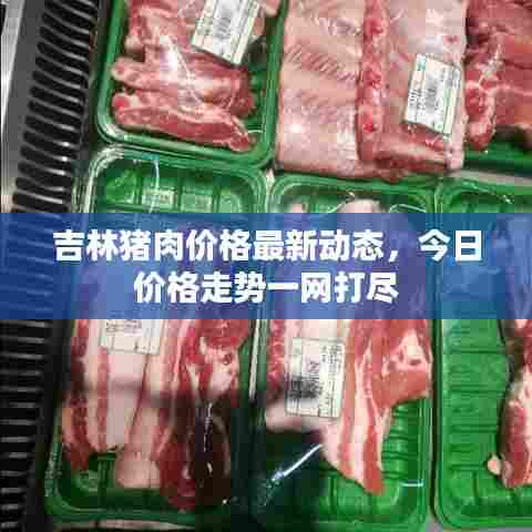 吉林猪肉价格最新动态，今日价格走势一网打尽
