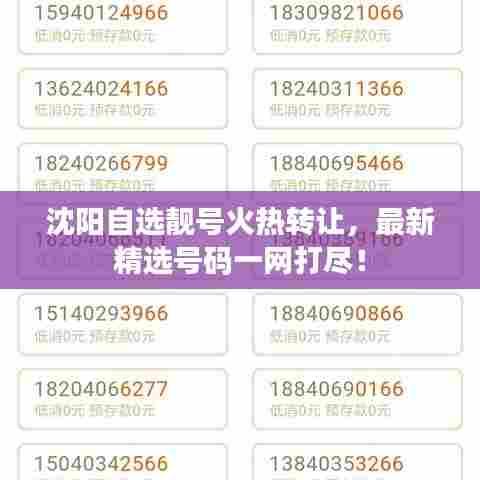 沈阳自选靓号火热转让，最新精选号码一网打尽！