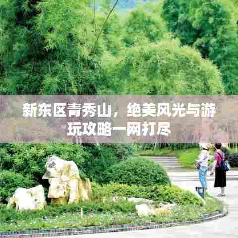 新东区青秀山,绝美风光与游玩攻略一网打尽