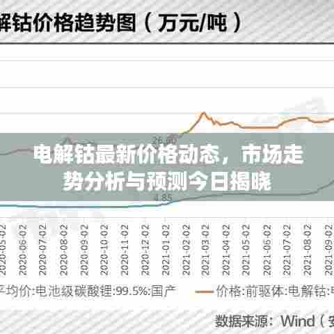 电解钴最新价格动态，市场走势分析与预测今日揭晓